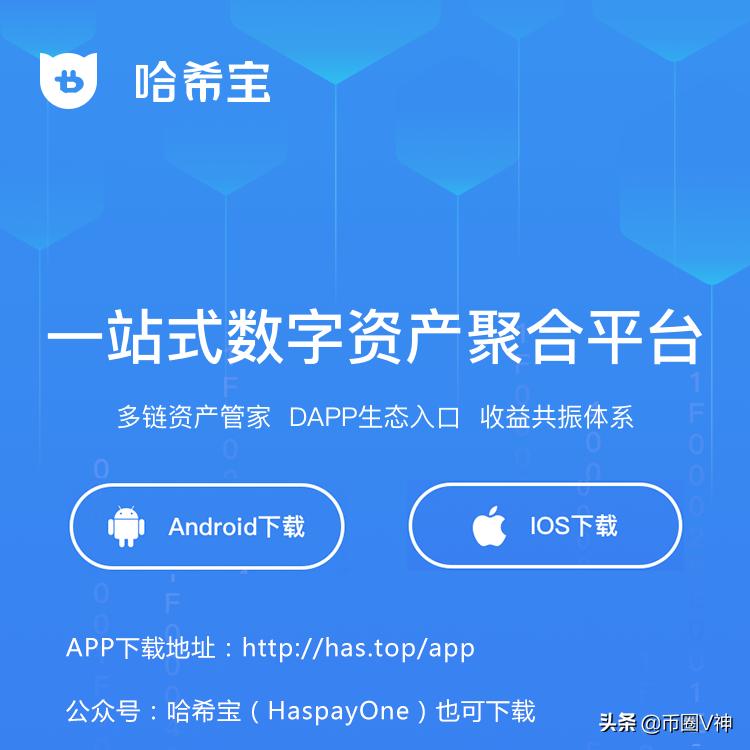 祝福哈希宝，天天吃柚子！