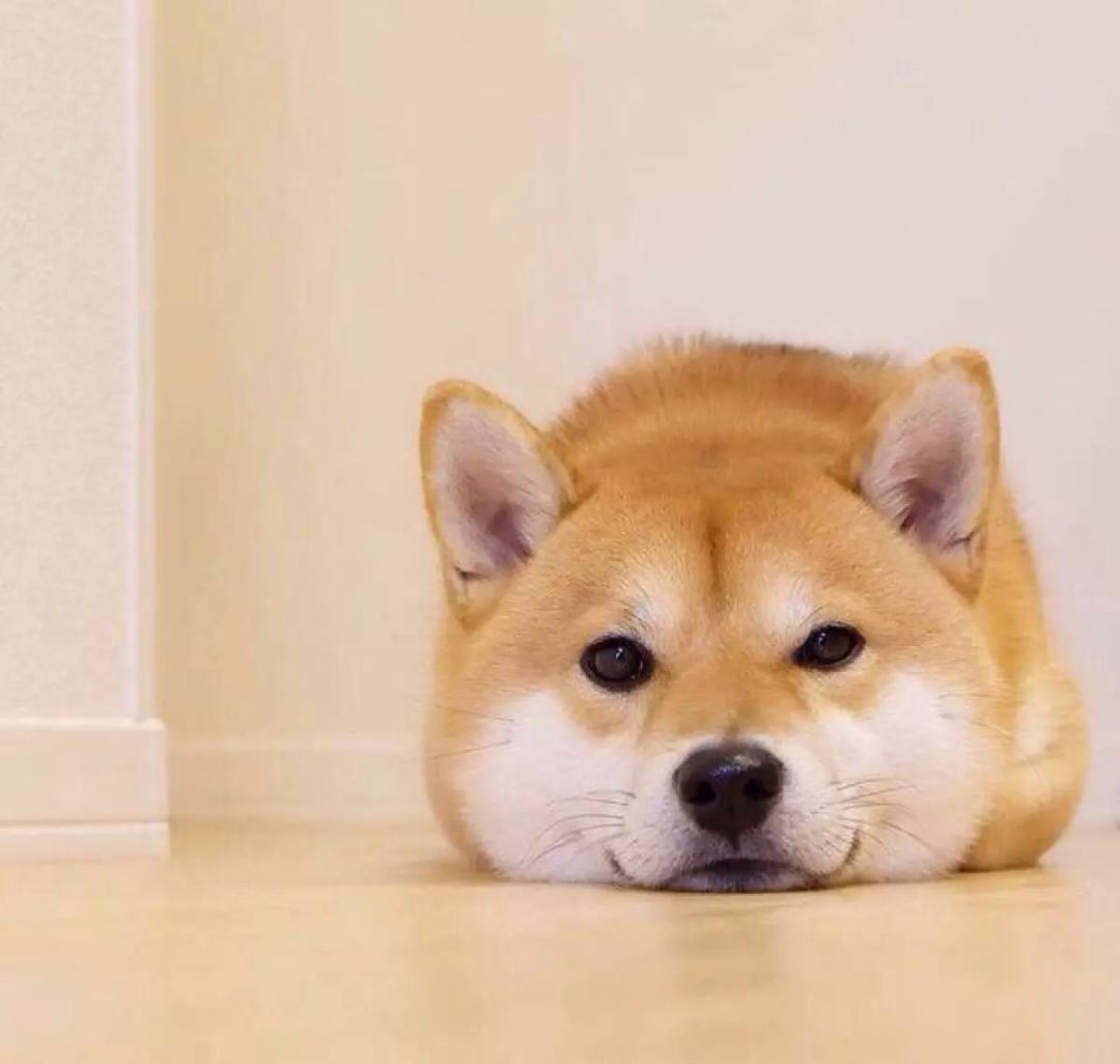 啧啧啧~断绝它的“性”福之路前你有仔细考虑吗？