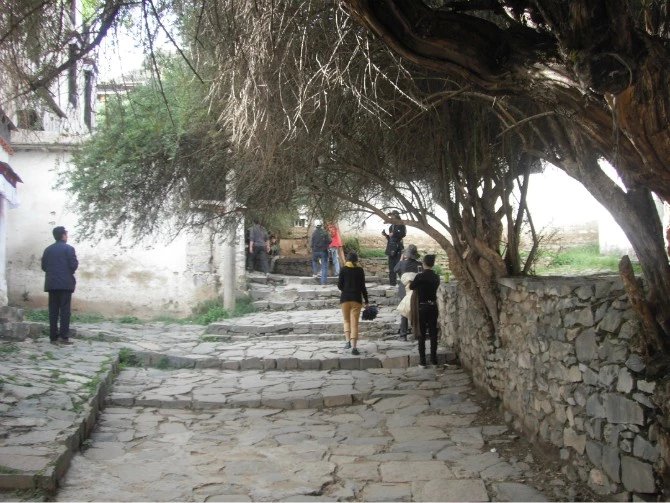 女孩独自一个人去旅游的心理,独自一人去西藏在哪里最好