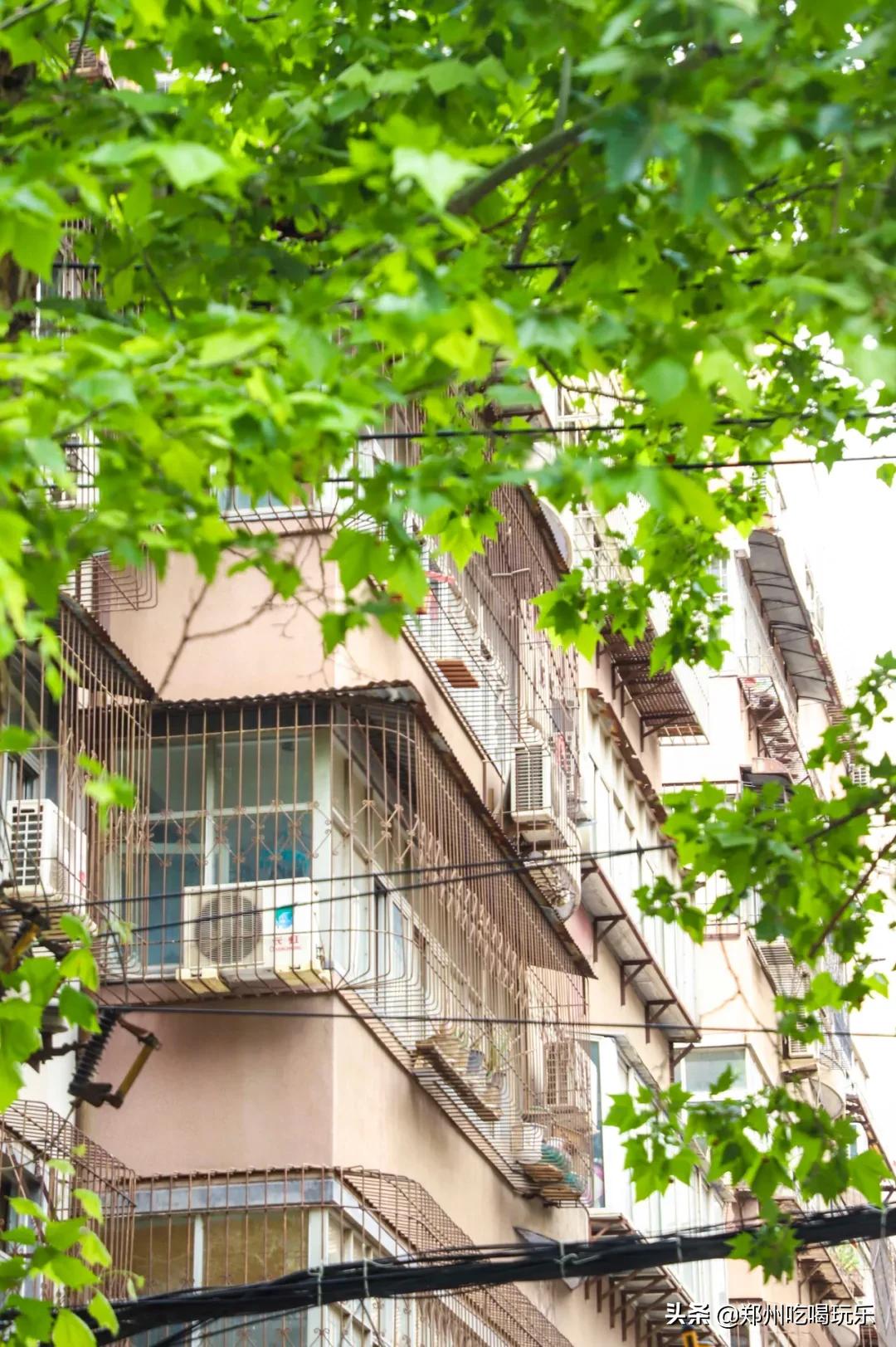 没有256g的胃是什么意思,没有256g胃能吃海鲜吗