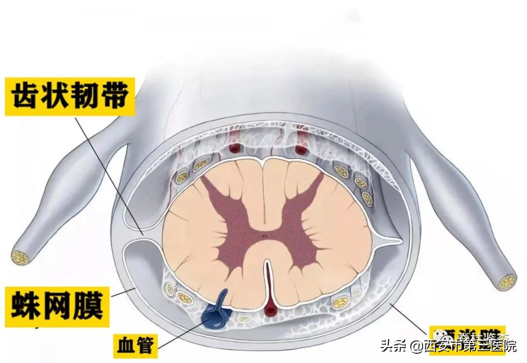 颈椎病减压手术安全么,手术脊髓减压