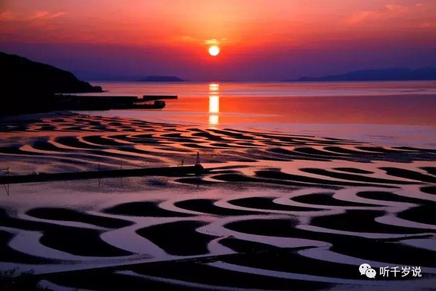 日本东京熊本熊,日本熊本游