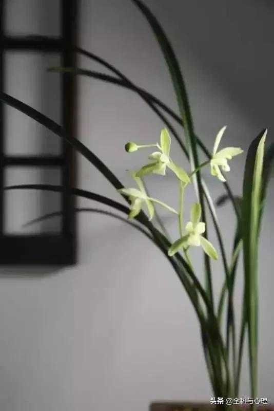 难过时怎么安慰自己,难过的时候怎么安慰自己