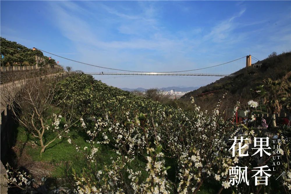 一个农村姑娘的创业经历,一个女农人的创业故事