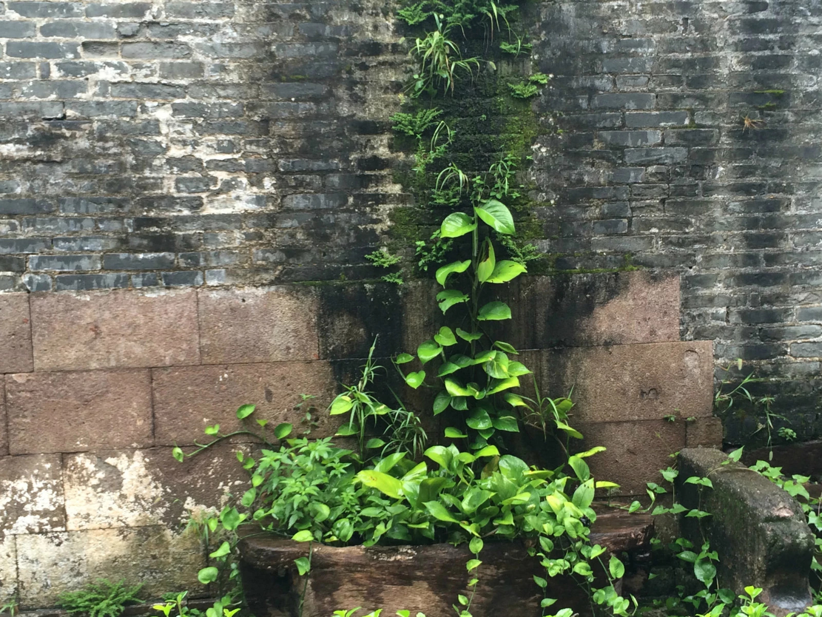 大隐隐于深山,大隐隐于市乌鲁木齐