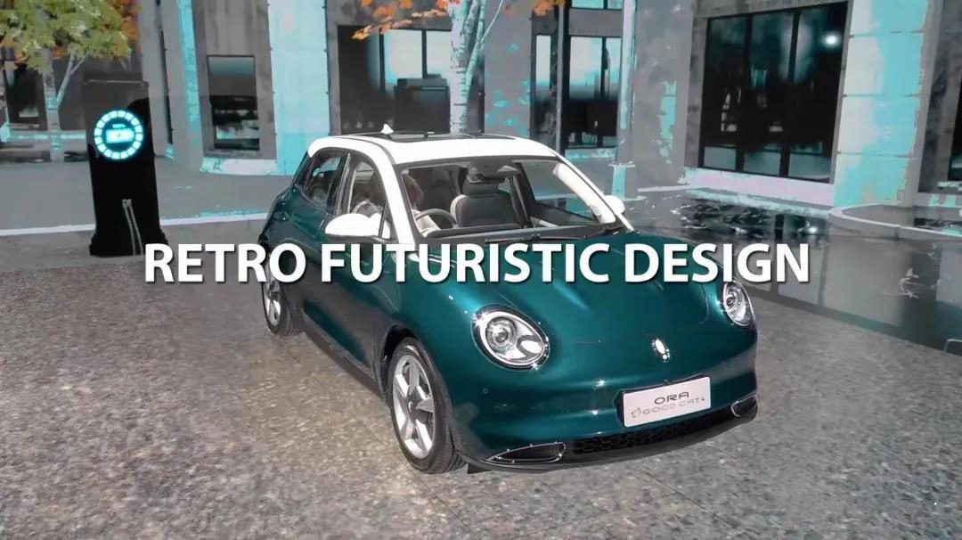 泰国欧拉好猫现状,最贵的欧拉好猫