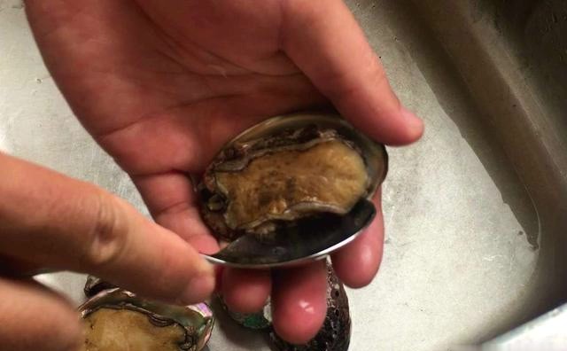 鲍鱼最简单的做法怎么做好吃,鲍鱼的做法清淡简单快速