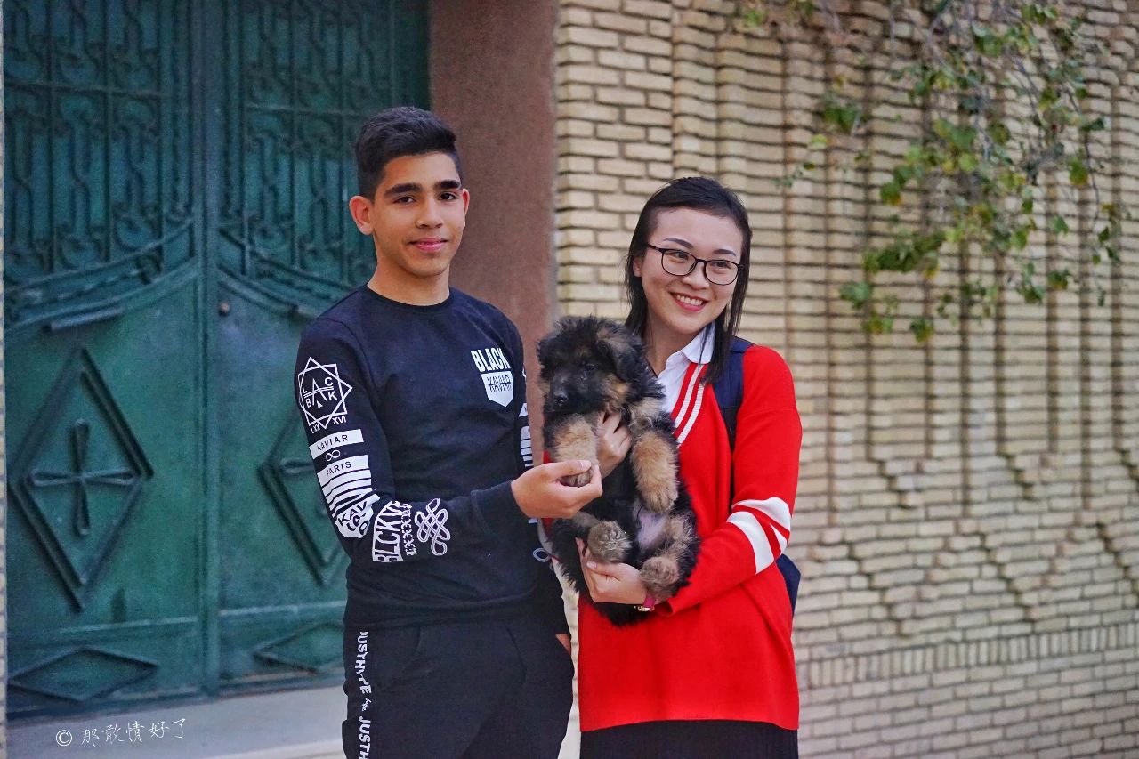 摩洛哥突尼斯旅游,与摩洛哥接壤的国家