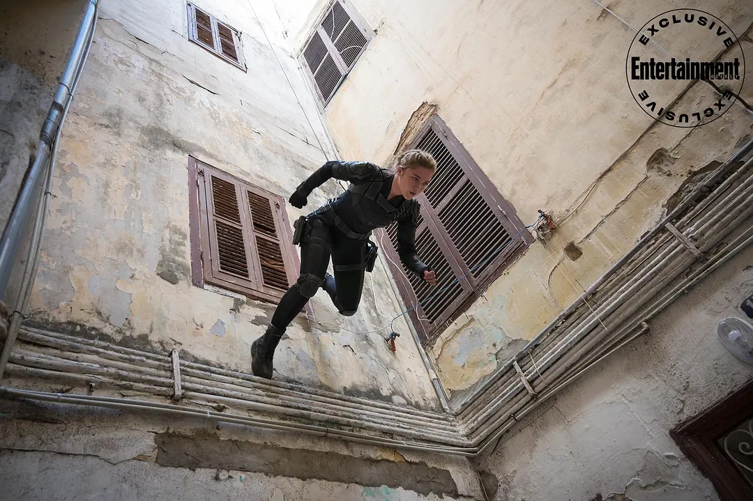 黑寡妇十大经典电影,黑寡妇最值得看的电影