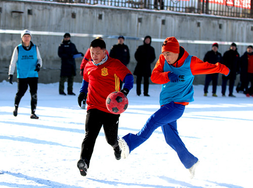 哈尔滨卡尔美足球比赛,卡尔美世界杯比赛