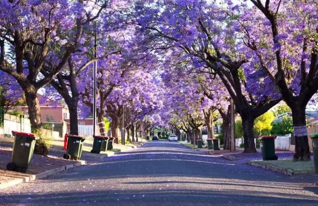 四川藏着一个静谧古城,四川被忽略的古城