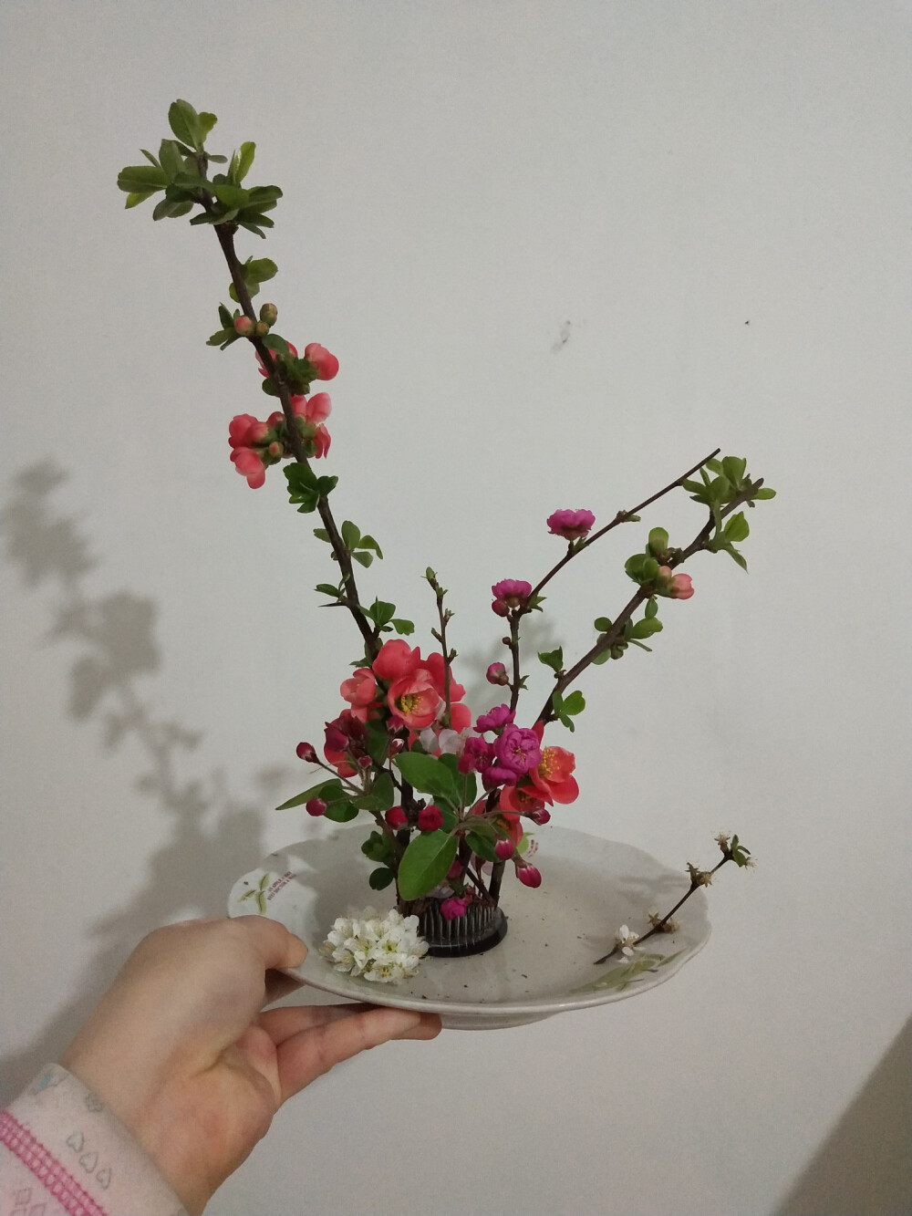 疫情期间空姐真实收入,疫情期间空姐现状