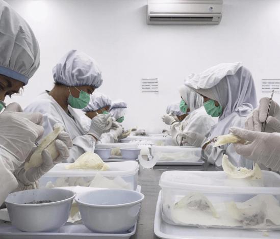 印尼产的燕窝是真的吗 (燕窝最好的产地为什么是印尼)