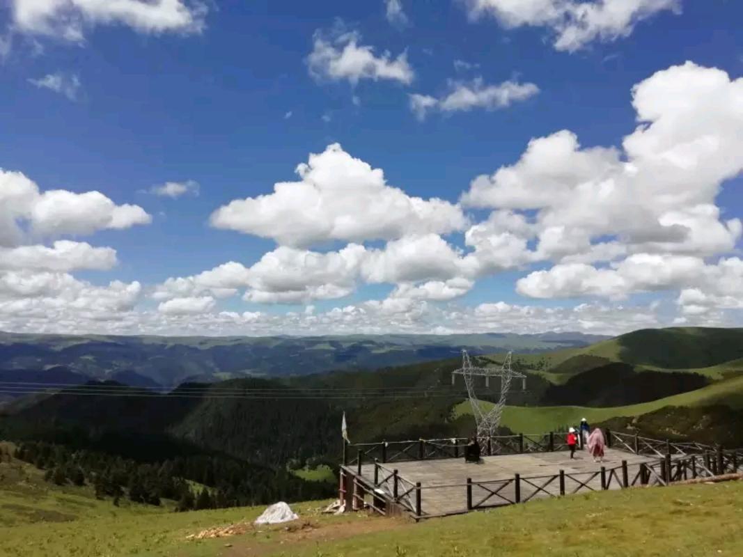 挖坟三人组,三人组合挖坑