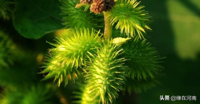 90后80后小时候玩的趣事,80后90后小时候干过的缺德事