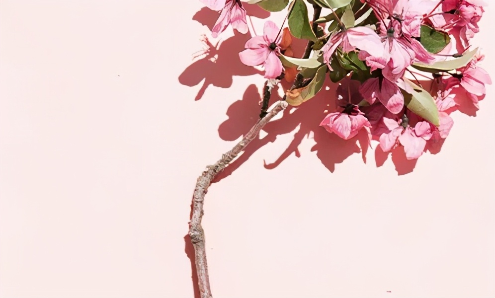 感恩母亲节手抄报小学生4至6年级,二年级感恩母亲节手抄报图片大全