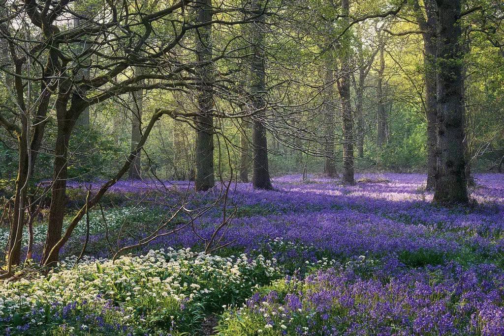 熊继柏纠正对中医的几个错误观念,熊继柏谈中医治疗