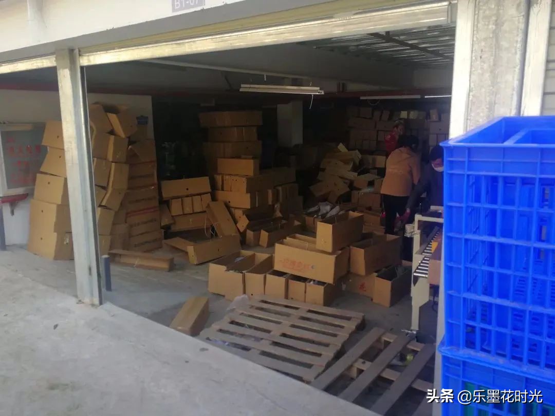 一件代发是风口还是割韭菜,花店一件代发