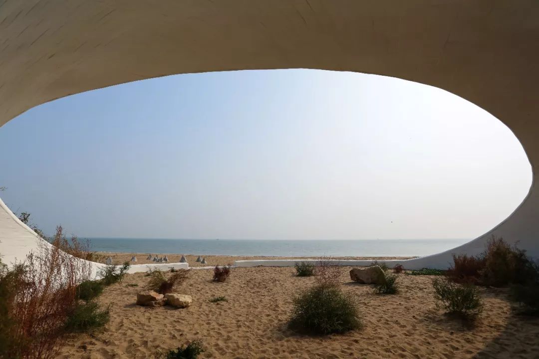 亚文化2013,亚文化2019