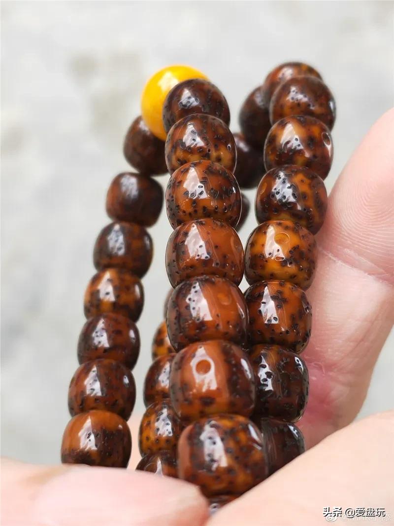 星月盘多久可开片,星月盘了几年都不开片