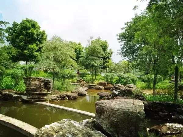 广州小岛旅游,广州周边小岛游