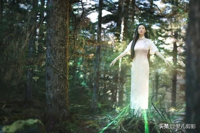 影视界职业：妖、神、佛、鬼、精、魔、怪、精、灵、还有什么职业