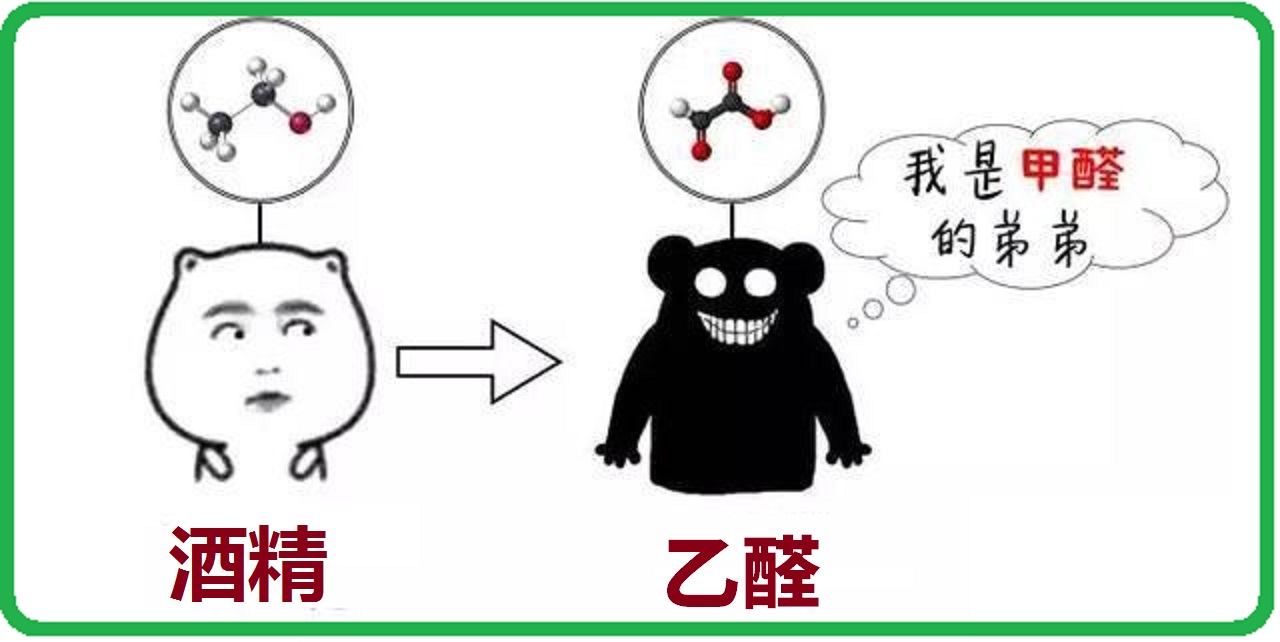 基因是人类的“酒司令”