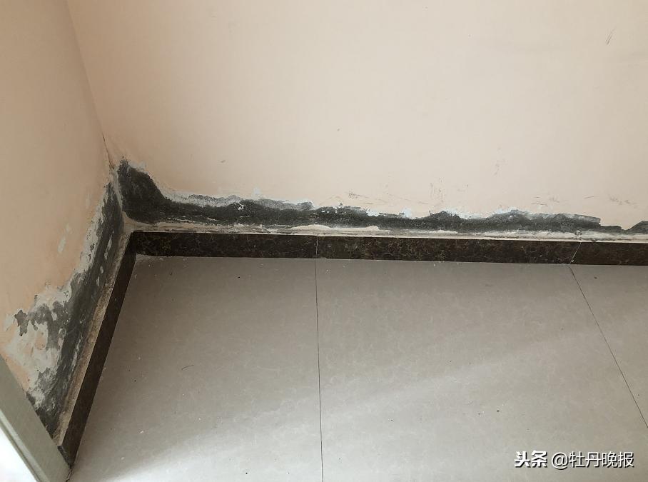 墙皮脱落什么原因引起的,墙体反碱墙皮脱落怎么处理