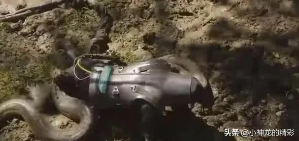 人被巨蟒缠住了脖子,被巨蟒吞下可以拿刀自救么