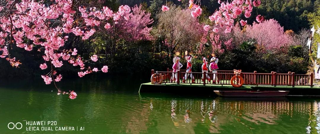 2023平遥国际摄影节获奖摄影作品,2009大理摄影展获奖作品