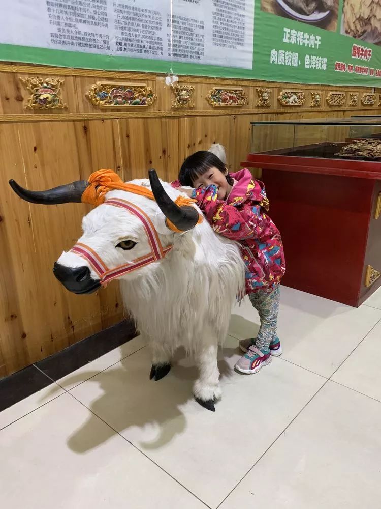 七月摩旅318川藏,摩旅318川藏出发前的视频