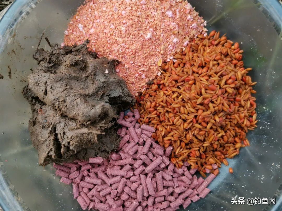 各种钓鱼打窝方式,十种打窝方式视频