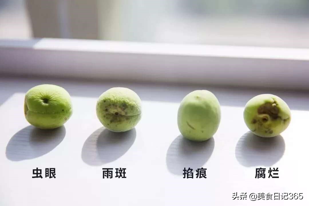 青梅酒怎么酿更入味好喝,青梅酒的正确制作方法