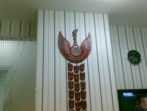 29岁大龄剩女装修35平米,30岁独居女生房子的装修