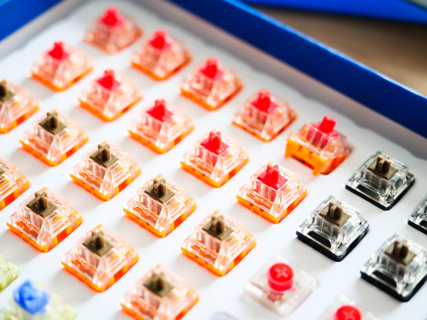 ttc金粉轴为什么比金红轴更受欢迎,ttc金粉轴为啥那么贵