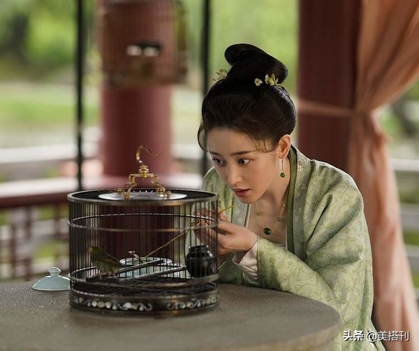 张天爱豹纹衣搭配图,鳄鱼与牙签鸟张天爱穿搭