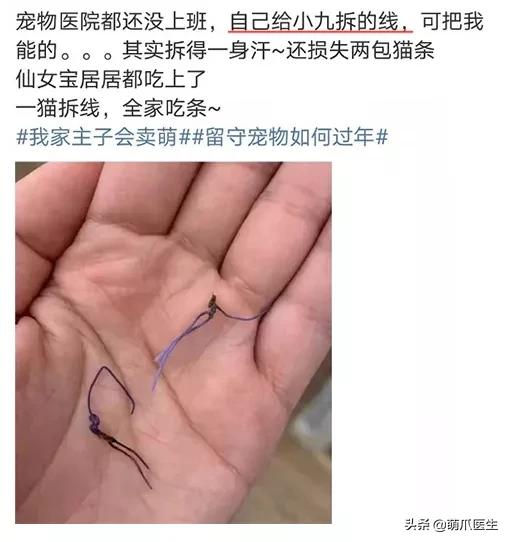 疫情宠物医院应该关门么,疫情宠物医院被迫关闭怎么办