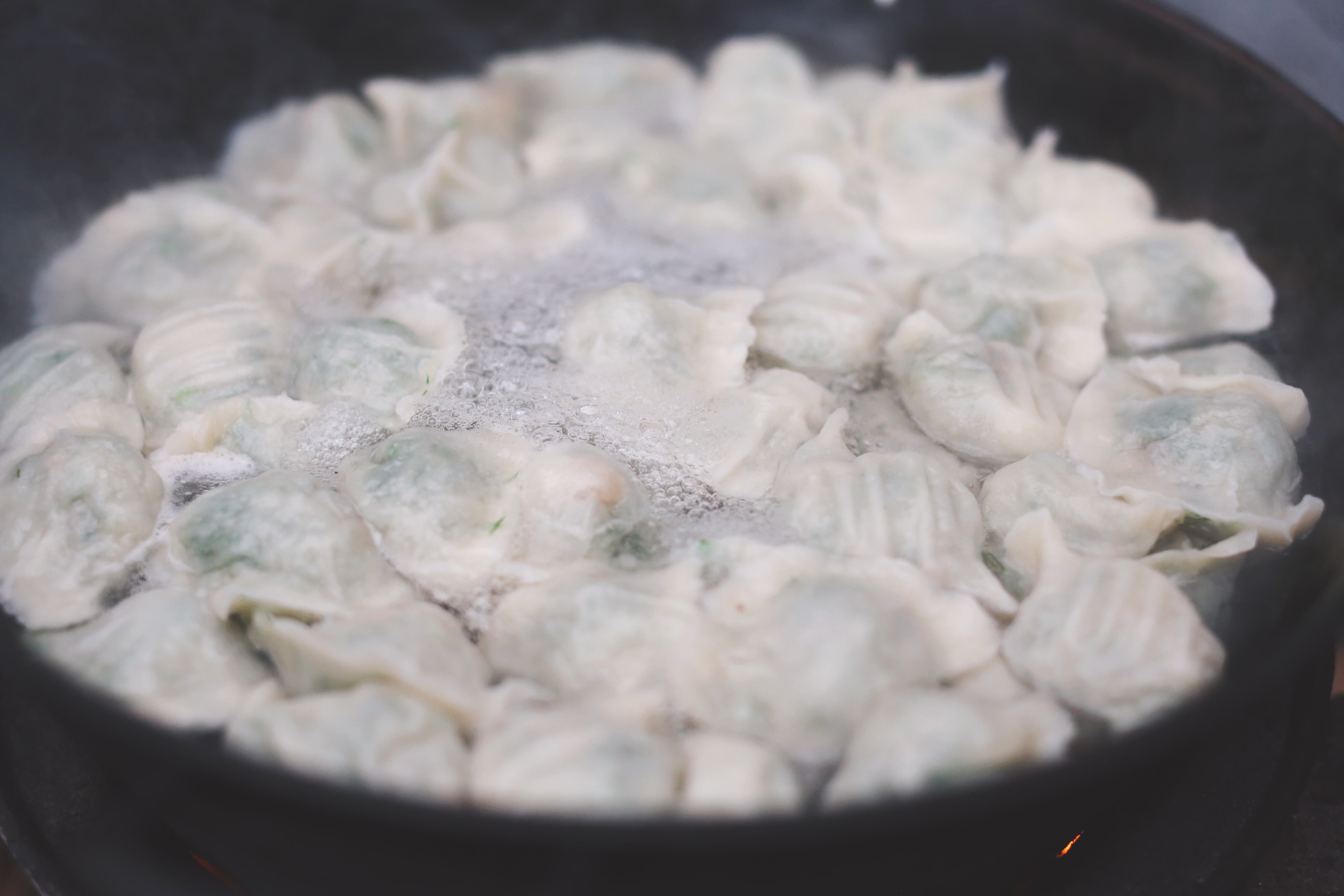 茴香馅水饺正宗做法,茴香猪肉生水饺