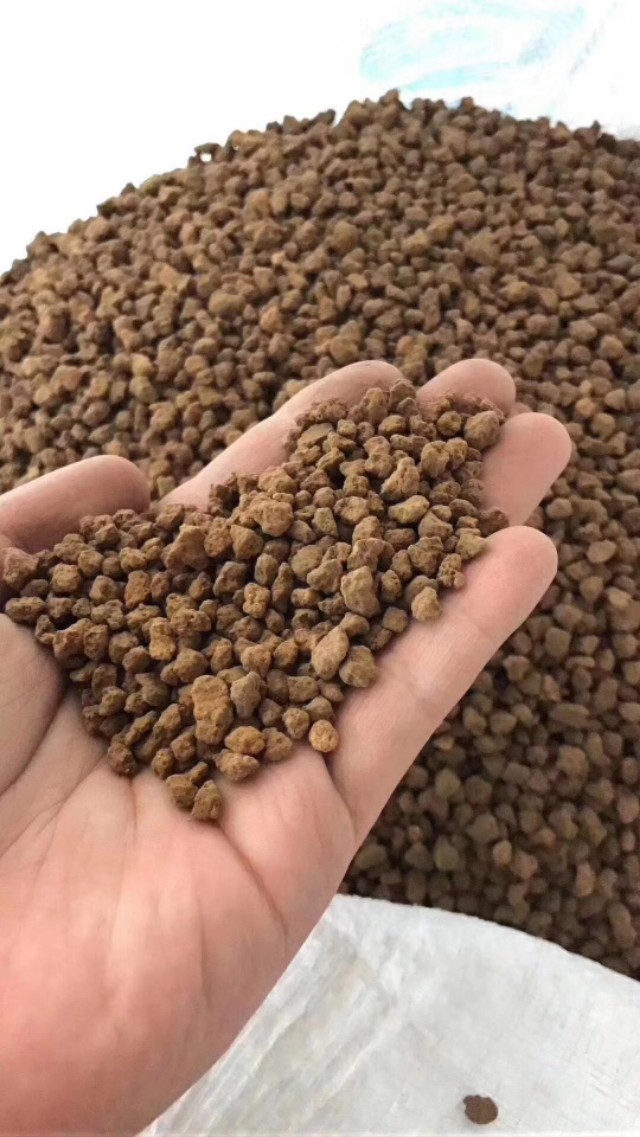 多肉植物能不能晒太阳和浇水,多肉植物太阳不直晒颜色就长不好