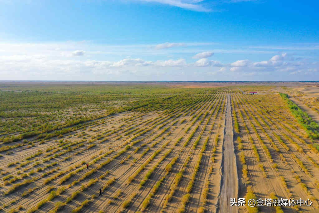 新疆兵团二师37团,新疆生产建设兵团二师22团