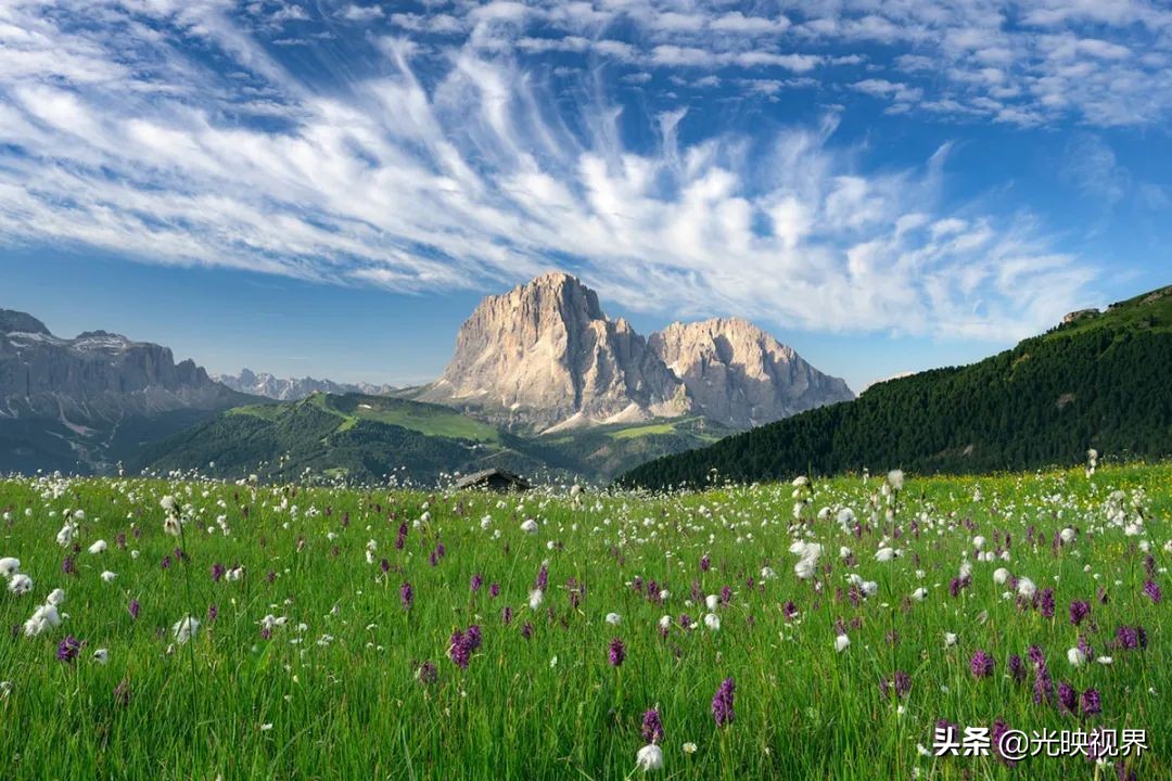 野花的风景,2020国际风景摄影大赛获奖作品