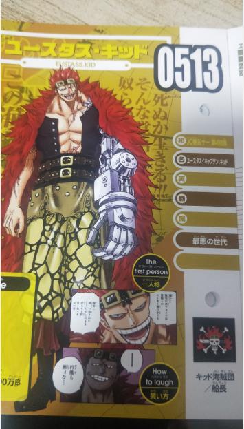 海贼王书籍推荐,海贼王怎么推荐新人看