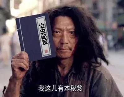 被蚊虫叮咬怎样情况下要就医,如何有效治疗虫叮咬