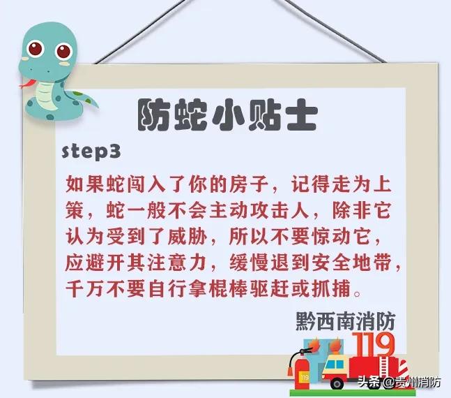 2米长蛇闯入房间,3米长蛇闯进浴室