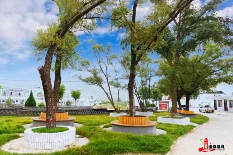 鍔涢噺2022,鍔涢噺2020