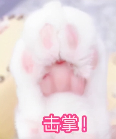 十大有趣的宝藏网站,全球小众宝藏网站排名榜