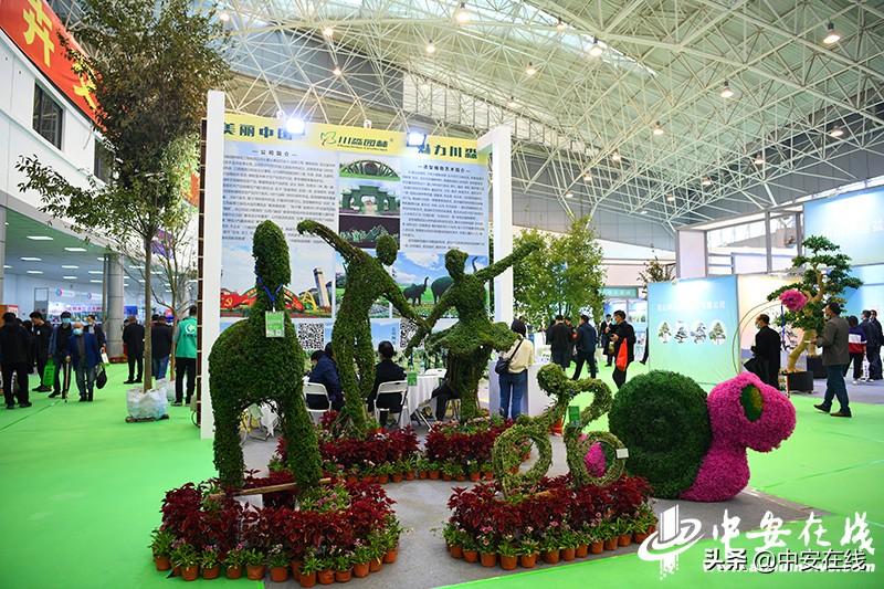 2020年中国合肥苗木交易会,2012中国合肥苗交会