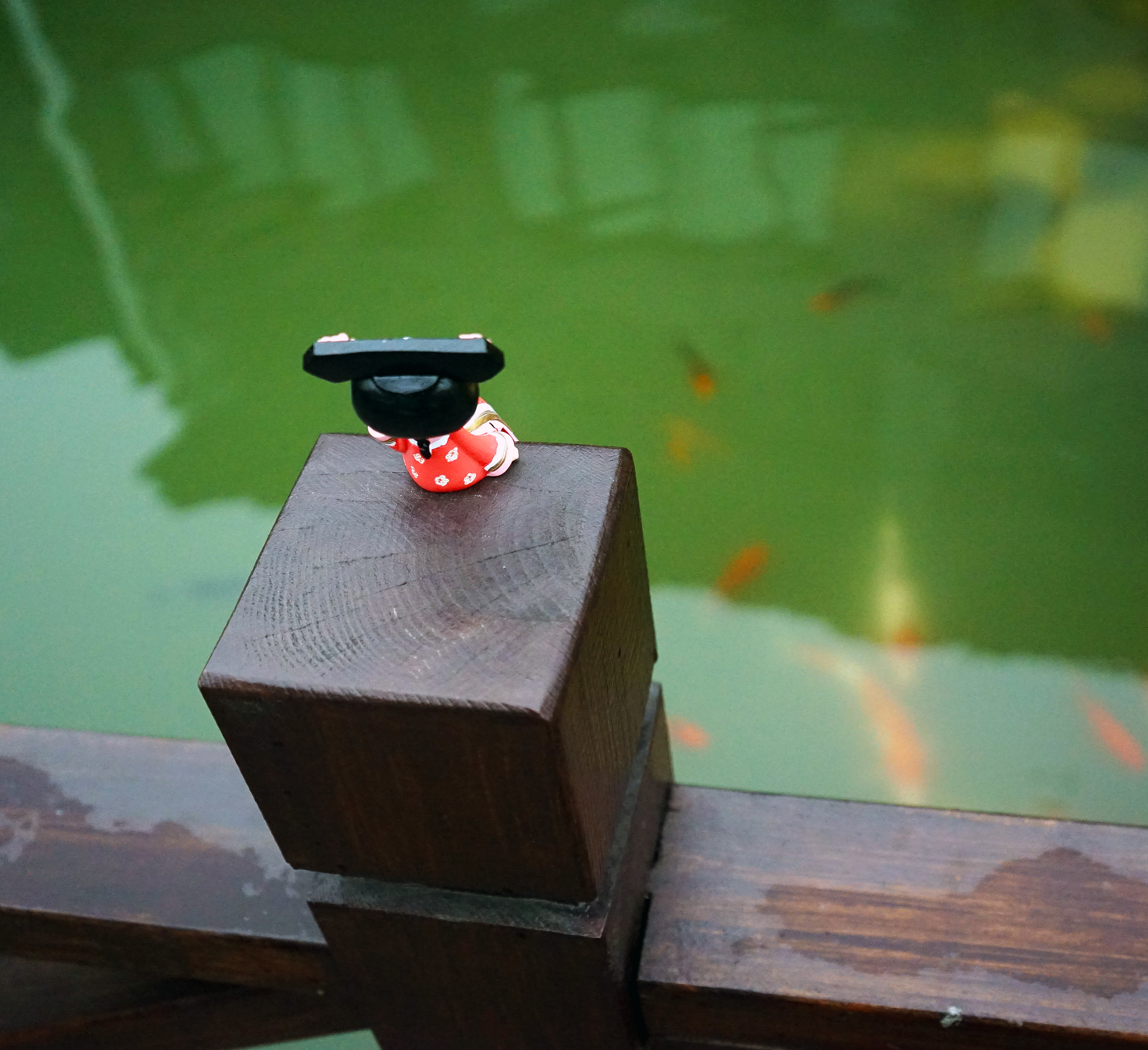 苏州是个温柔的地方,苏州人是个雅致的女人