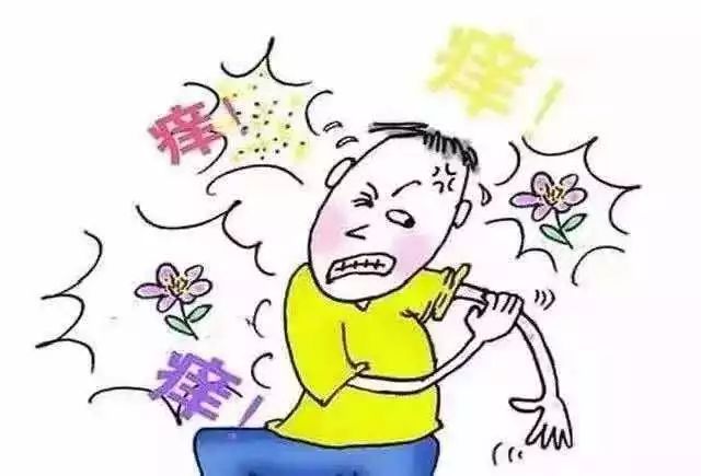 九种体质养生图片,九种体质养生标准表