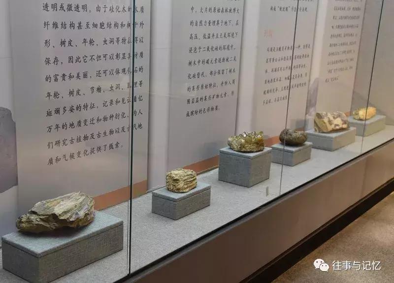 通辽霍林郭勒市区,通辽霍林郭勒一日游